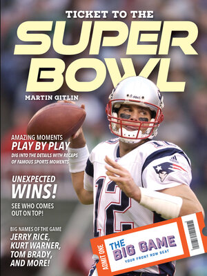 cover image of Ticket to the Super Bowl